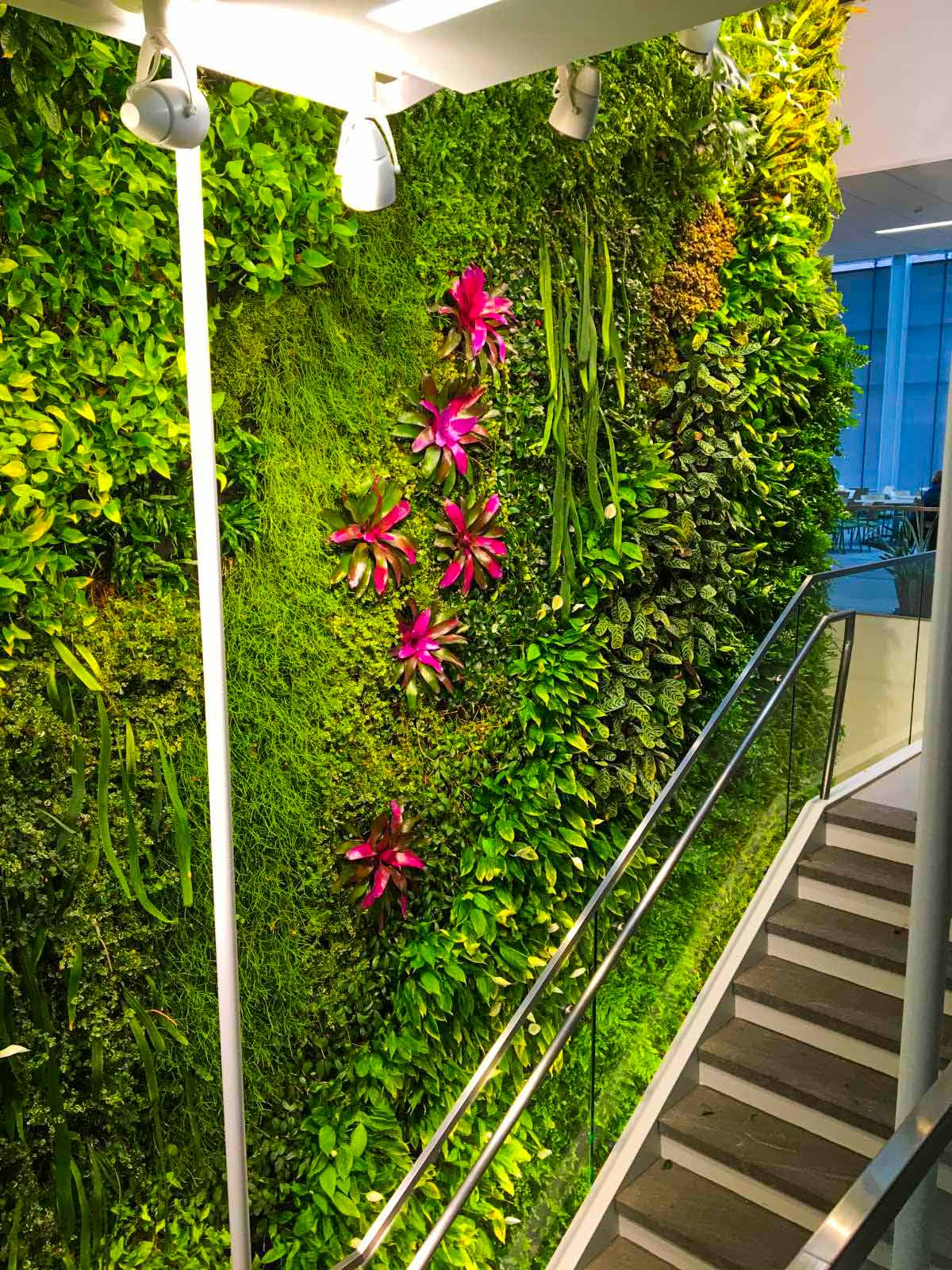 Green Walls - Parker Plants & Holiday