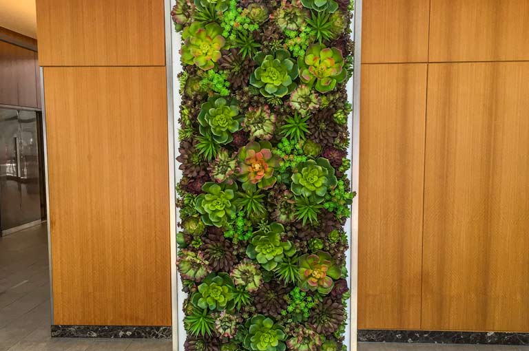 Interior | Parker Interior Plantscape