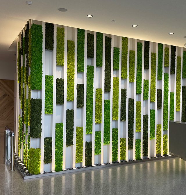 Moss Carpet by Nection Design  Inhabitat - Green Design, Innovation,  Architecture, Green Building